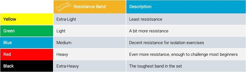 Your Ultimate Guide to Resistance Bands (2023 Review)