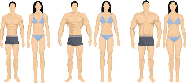 Body Types